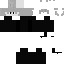 A minecraft skin skin