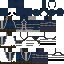 assassin panda skin