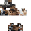 Baver skin