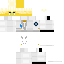 BCS-TS-C 8 skin
