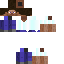 Beach Steve skin