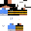 Beetech_10 skin
