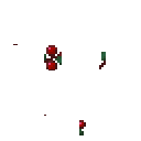 Berry skin