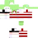 Camiune skin