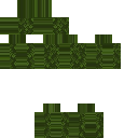 Can someone finish this for me skin