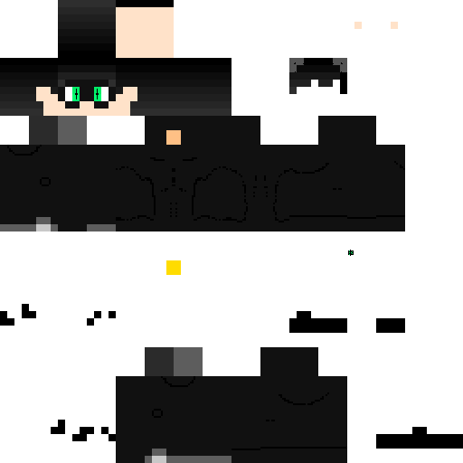 Cat noir mayøs skin