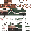 christmas(sari) skin