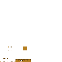 Cinnamon fudge looking hamster skin