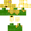 Corny skin