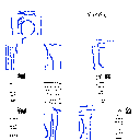 Cyber net skin
