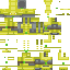 dio's the world skin