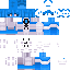 Dol9hin skin