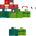 DS skin
