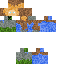 Elemental Steve skin