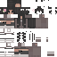 EloquentVoice skin