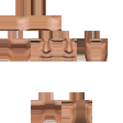 Fatih terim skin