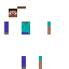Fold the Steve skin