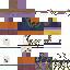 fsm skin