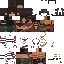 Genshin skin
