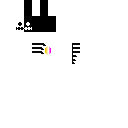 Ghost black and white skin