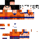 Gohan DBZ skin