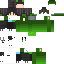 GoogleMC skin