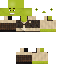 Great Shrek skin