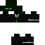green endermen skin