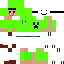 green hooded figure skin