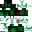 Green knight skin