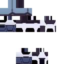 Hollow Knight skin