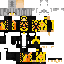 Idk what to call this lol skin