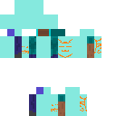 I need to make sm skin