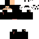 Master ninja Idk skin