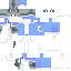 moon cat skin