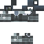 Motorcyclist skin