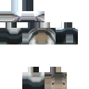 My rabbit 5 Username:LitheLime8060 skin