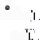Niko the seal skin