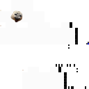 Niko the seal (evil) skin