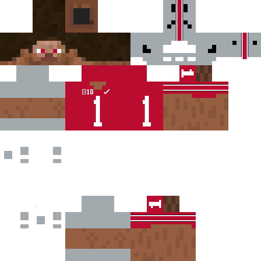 Ohio State buckeyes steve skin