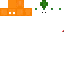 orangeeee skin