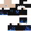 paid skin