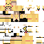 PikachuDenki skin