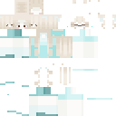 Proj 04 skin