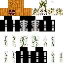 Pumpikin skeleton skin