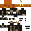 Pumpkin cat skin