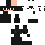 RANDOM SKIN EVER MADE skin