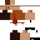 Revolver V2 skin