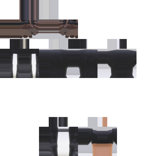 roblox 10 skin