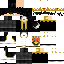 roi ash 64x64 skin